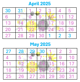 What to Expect at Your Pool Opening